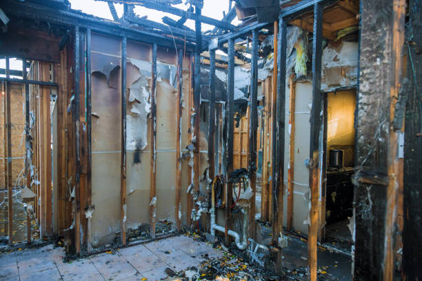 Professional Fire Damage Removal technician working in Kingston, WA